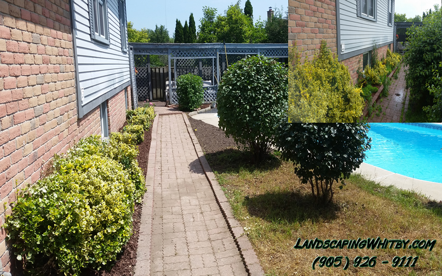 Garden Bed Clean-Up Mulch Gardener